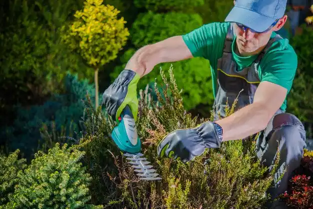 landscaping services Hay Springs